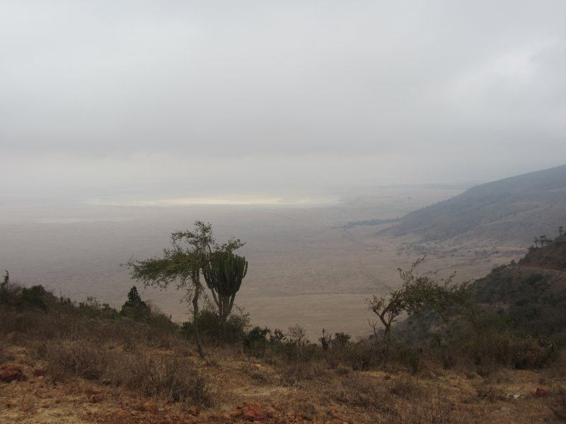197 Ngorongoro Crater